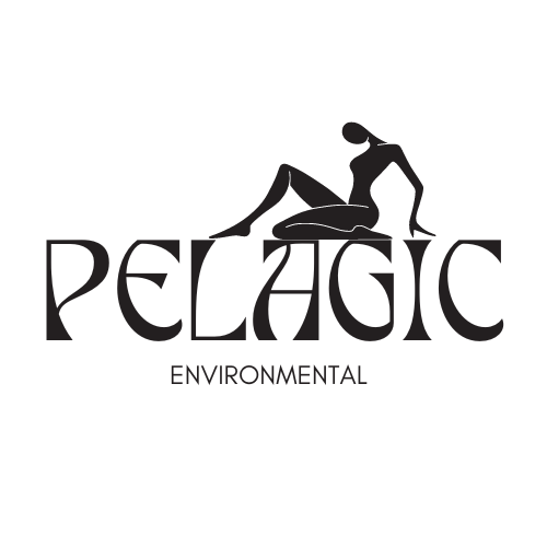 Pelagic Environmental – Eco-conscious Fashion